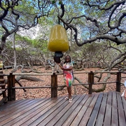 Nordeste Excursão 2 em 1 - NATAL e PIPA