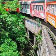 A Magia do Natal em Curitiba e o Charmoso Passeio de Trem em Morretes