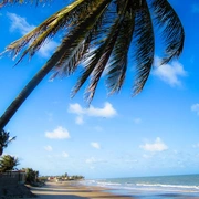 Nordeste Excursão 2 em 1 - NATAL e PIPA