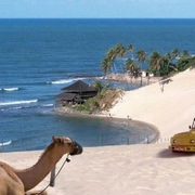 Nordeste Excursão 2 em 1 - NATAL e PIPA